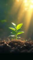 AI generated Seed to sprout Conceptual image with a green seedling growing Vertical Mobile Wallpaper photo