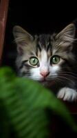 AI generated Adorable kitten with beautiful green eyes, in a relaxed playful pose Vertical Mobile Wallpaper photo