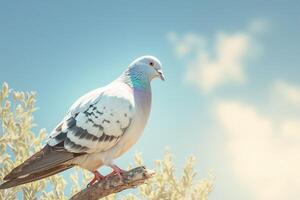 AI generated Avian tranquility Pigeon perched on branch under blue sky for Peace Day photo