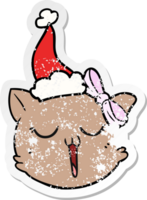 hand drawn distressed sticker cartoon of a cat face wearing santa hat png