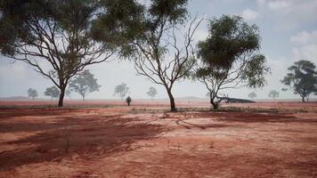 un escénico paisaje con rojo suciedad campo y arboles en el distancia video