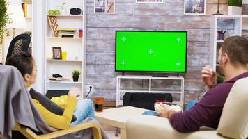 Back view of couple sitting on chair talking in front of tv with green screen while the cat is walking in the room. video