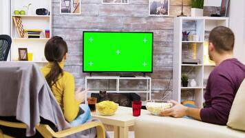 Back view of couple sitting on chairs cheering up watching tv with green screen. Cat relaxing in front of tv. video