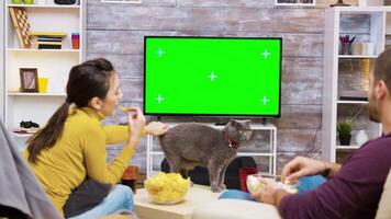 indietro Visualizza di caucasico coppia mangiare Rifiuto cibo seduta su sedie nel davanti di tv con verde schermo e giocando con il gatto. video