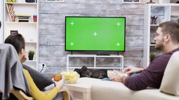 Back view of young couple sitting on chair eating popcorn , watching tv with green screen and their cat licking her fur. video