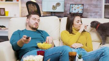 gebaard Mens aan het eten chips en gebruik makend van afgelegen controle naar verandering TV kanalen terwijl zijn vriendin is spelen met de kat. video