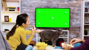 zoom in schot van meisje spelen met de kat in voorkant van TV met groen scherm. popcorn en chips Aan koffie tafel. video