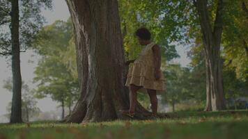 gelukkig jong Afrikaanse vrouw in zomer jurk op zoek Bij park bomen video