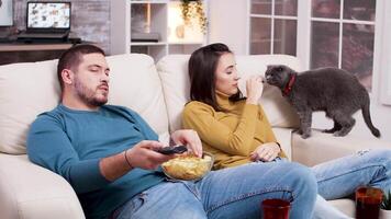 coppia rilassante Guardando un' film su tv e giocando con il gatto. uomo utilizzando tv a distanza controllo e mangiare patatine fritte. video