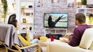 terug visie van vriendje en vriendin aan het kijken TV zittend Aan stoelen aan het eten chips en popcorn kat op zoek Bij hen. video