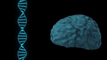 Simple 3D brain and DNA string animation on black background. Medicine and science video