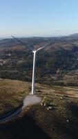 verticaal video van windmolens roterend antenne visie