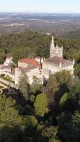 vertical vídeo de bussaco palacio Portugal aéreo ver video