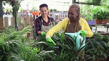 twee Dames werken in een tuin centrum video