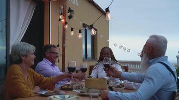 een groep van multiraciaal senior mensen roosteren wijn Aan een patio video