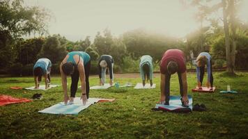 a group of senior people doing work out in the park video