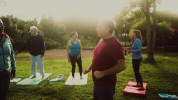 ein Gruppe von Senior Menschen tun Arbeit aus im das Park video