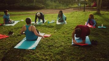 a group of senior people doing work out in the park video