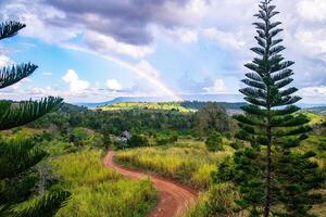 arco iris en el cielo en el campo en el lluvioso temporada en tailandia foto