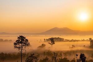 Landscape of Thung Salaeng Luang National Park Phetchabun Province Beautiful nature of sunrise and morning fog in the savannah in winter season thailand. photo