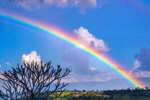 arco iris en el cielo en el campo en el lluvioso temporada en tailandia foto