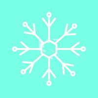 Snowflake Vector Icon