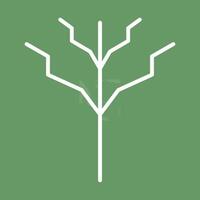 Tree with no leaves Vector Icon