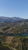 vertical vídeo do lindo natureza panorama a partir de Portugal video