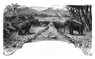 The Pliocene period, vintage engraving. photo