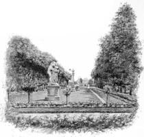 The main avenue leading to the Observatory, vintage engraving. photo