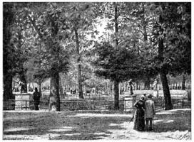 Under the chestnut trees of the Tuileries, vintage engraving. photo