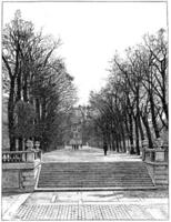 The terrace at the water's edge, vintage engraving. photo