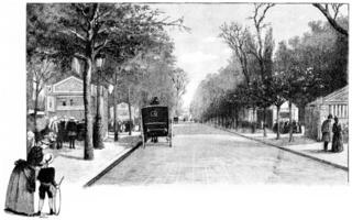 Avenue Marigny, vintage engraving. photo
