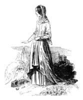 Woman Costume, 1315-1320, vintage engraving. photo