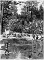 It was like an oasis, vintage engraving. photo