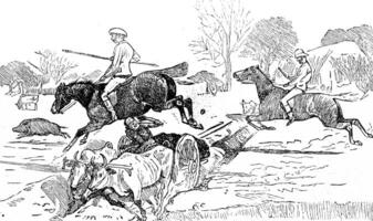 The steeplechase, vintage engraving. photo