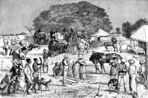 A boar hunt in Bengal. The start of camp, vintage engraving. photo