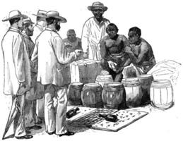 Market on the West African coast, vintage engraving. photo