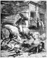 Memories of Mexico, horse die in the streets of Vera-cruz, vintage engraving. photo