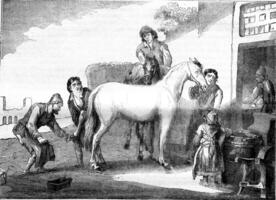 The shoeing Marshal, vintage engraving. photo