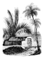 Chinese tomb at Ambon, Maluku Islands, vintage engraving. photo