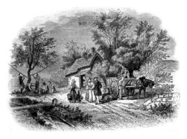 The Harvest of apples in Normandy, vintage engraving. photo