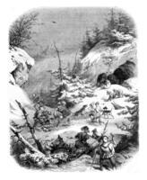 Hunting a bear, in feudal times, vintage engraving. photo