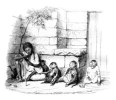 un comerciante de monos en El Cairo, Clásico grabado. foto