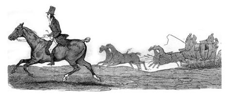 Kob, little horse half-blood who struggle with speed trunk Boston for thirty-three leagues, vintage engraving. photo
