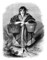 Young Irish peasant, vintage engraving. photo