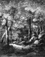 View in a forest, vintage engraving. photo