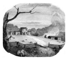 American farm in the state of Kentucky, vintage engraving. photo