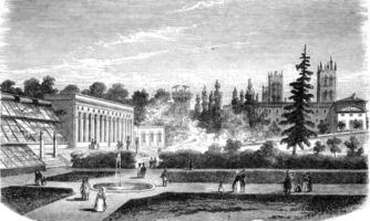 Montpellier, The Jardin des Plantes, vintage engraving. photo