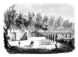 The Garden of the Cabaret Renard, the Tuileries, vintage engraving. photo